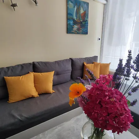 Apartment 205 Icici