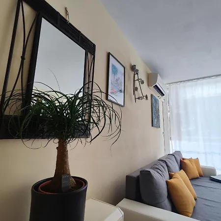 Apartman 205